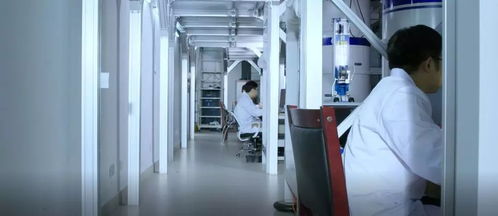 創新驅動，服務升級 本源量子計算機制造廠信息技術咨詢服務再上新臺階